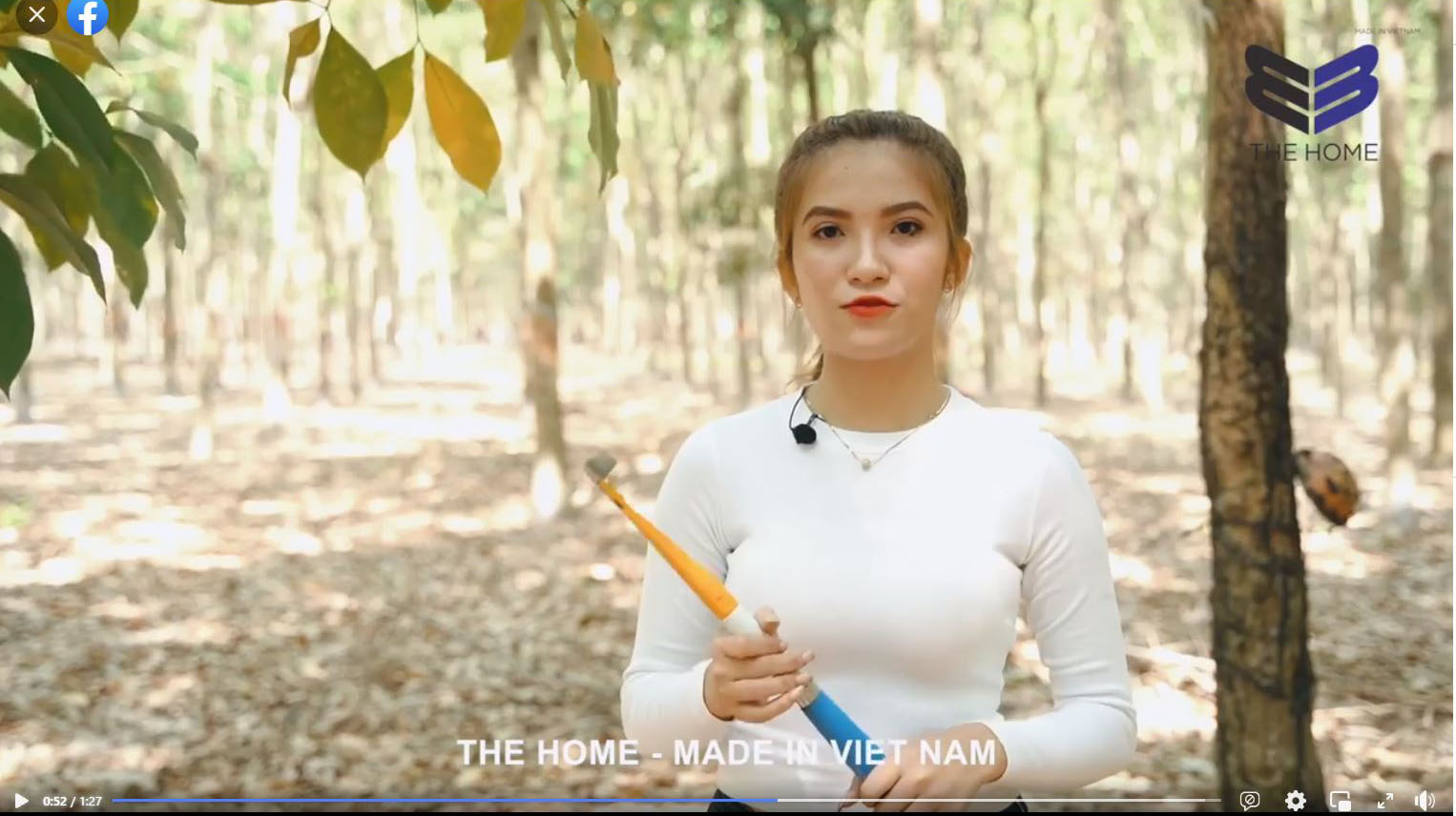 Giới thiệu tính năng sản phẩm của The Home